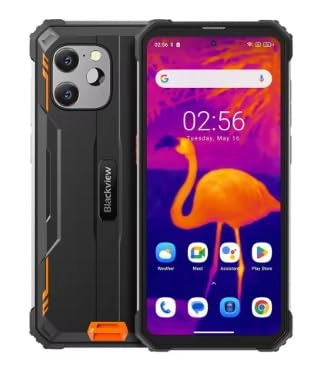 BV6200 Plus - 8GB 256GB