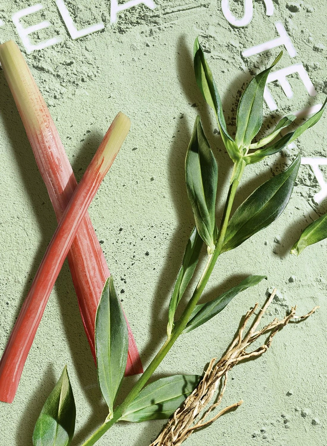 Match Point Eau de Toilette 50ml