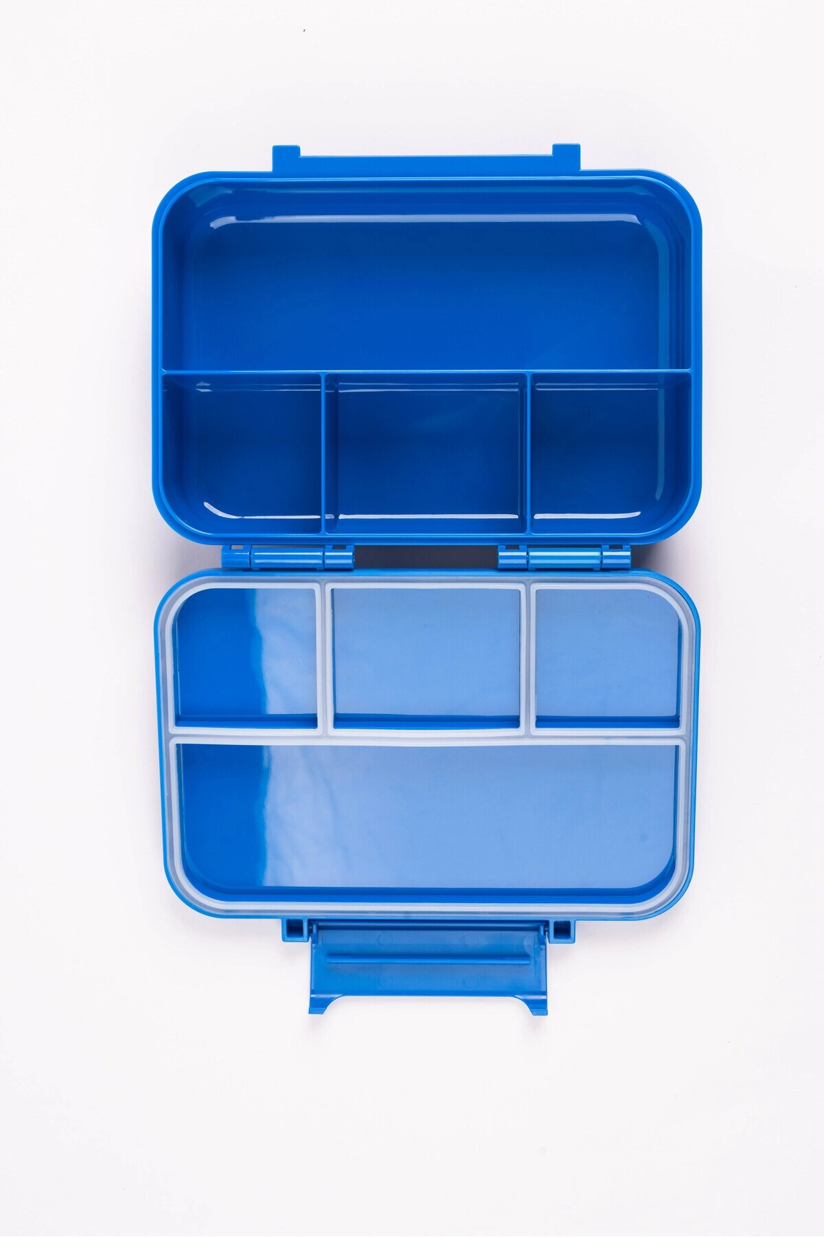 Dino Bento Lunch Box - Dino 1.67L