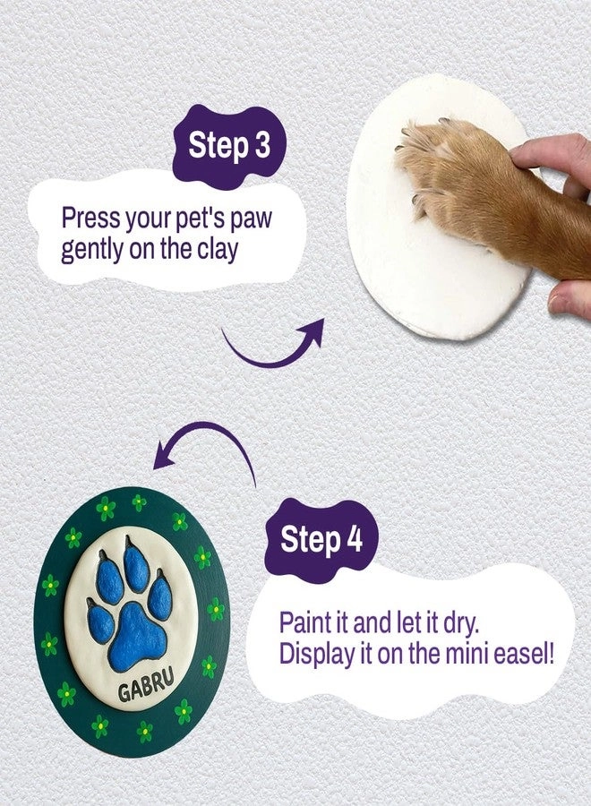 Paw Printing Kit - Colour Set DIY