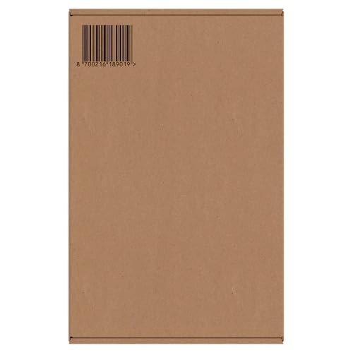 iO 4 - Lavender 2 Brush Heads