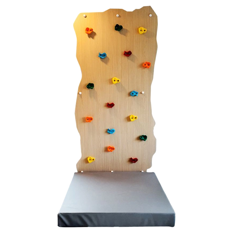 Rock Face Climbing Wall with Monkey Bars - 240 x 120 cm Suitable for 3 to 9 yrs