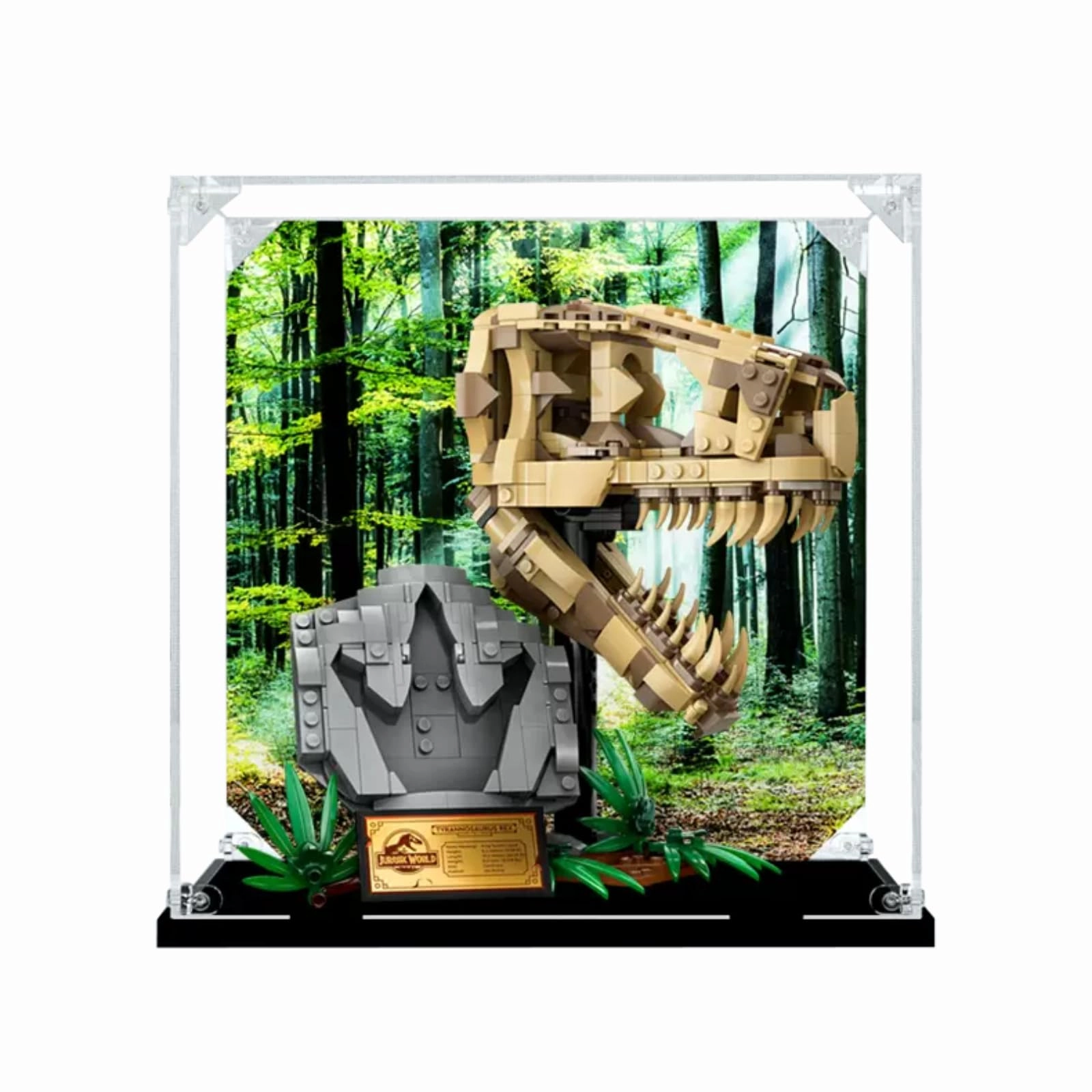 Figures Display Box - 76964 Acrylic 25x20x25cm