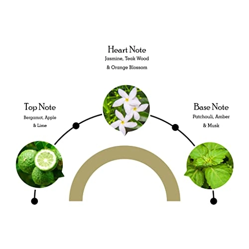 Classic Gold Eau de Toilette 100 ml