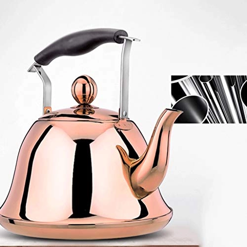 Stovetop Induction Whistling Kettle - 5L