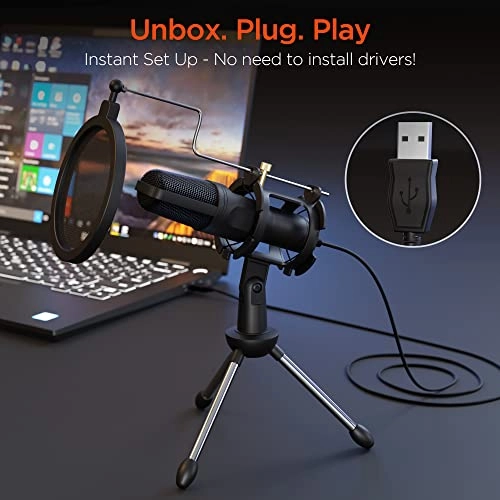 1 USB Microphone