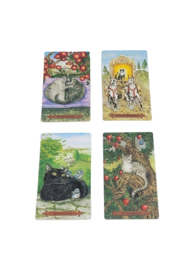 Teddy Tarot