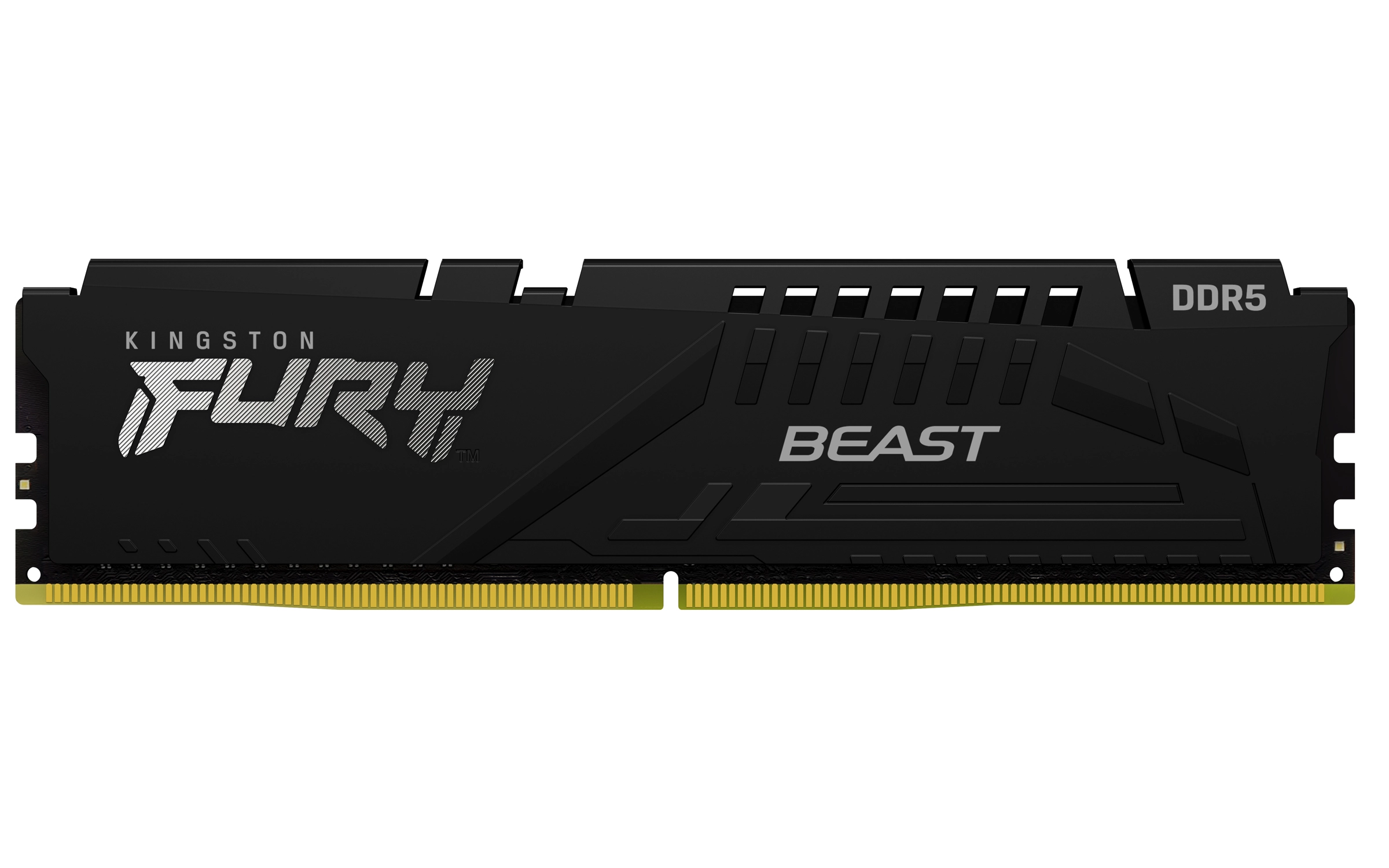 Fury Beast - 64GB 5600MT/s DIMM DDR5