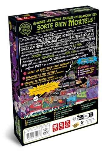 Epic Spell Wars: Wizard Baston at the Dire Octopus Dungeon (French)