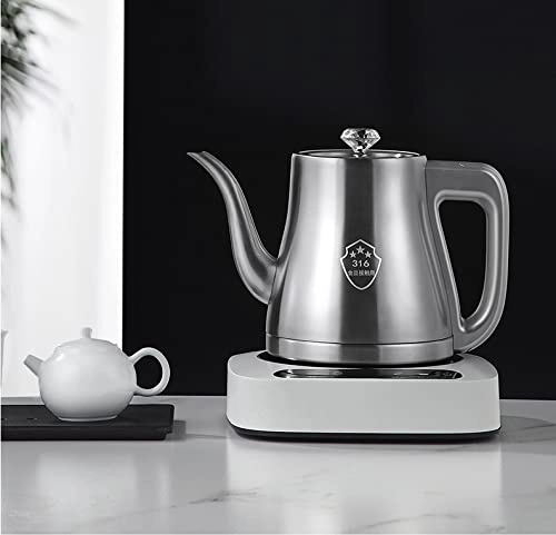 Temperature Control Electric Kettle