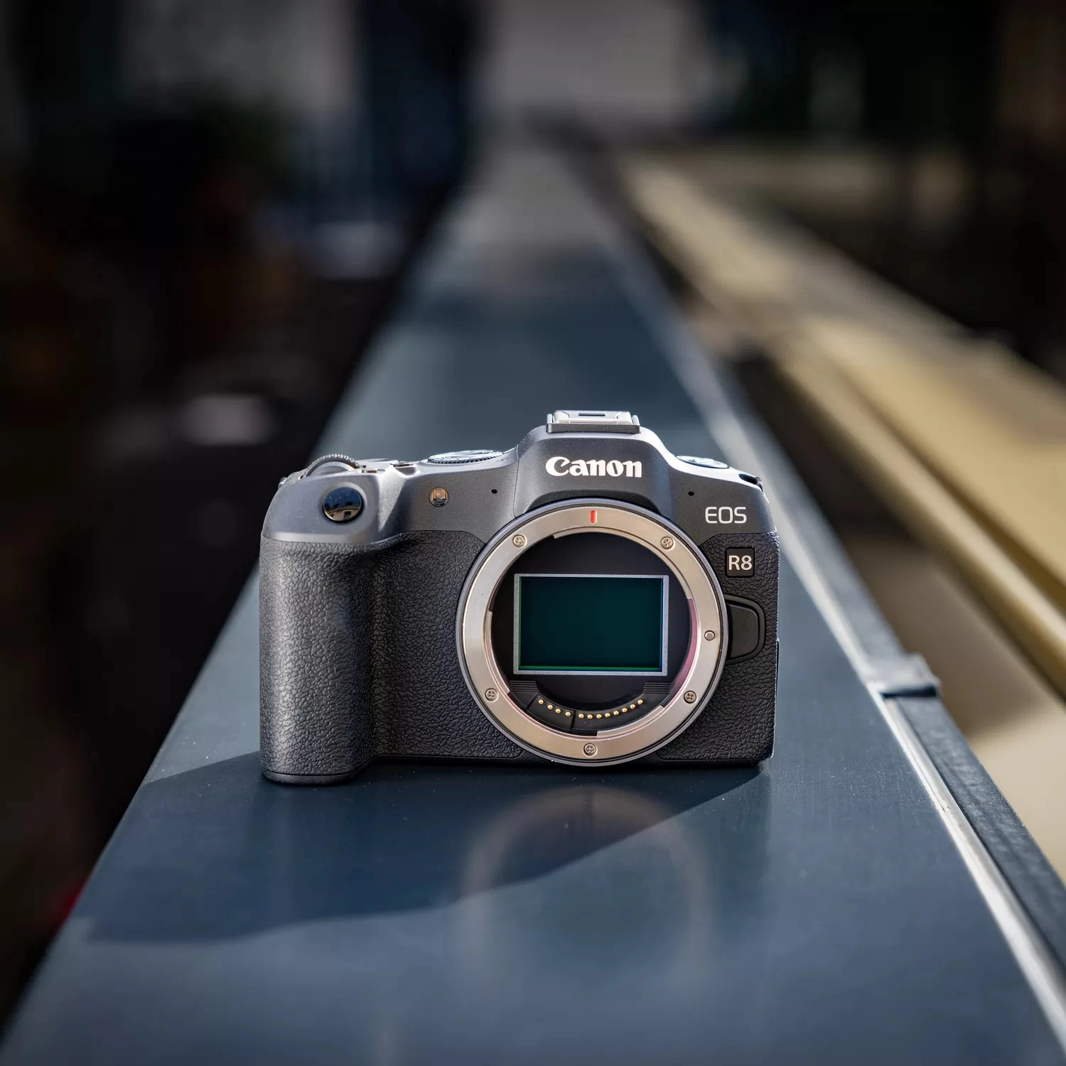 EOS R8 - 24.2MP + RF 24-105mm F4-7.1 IS STM