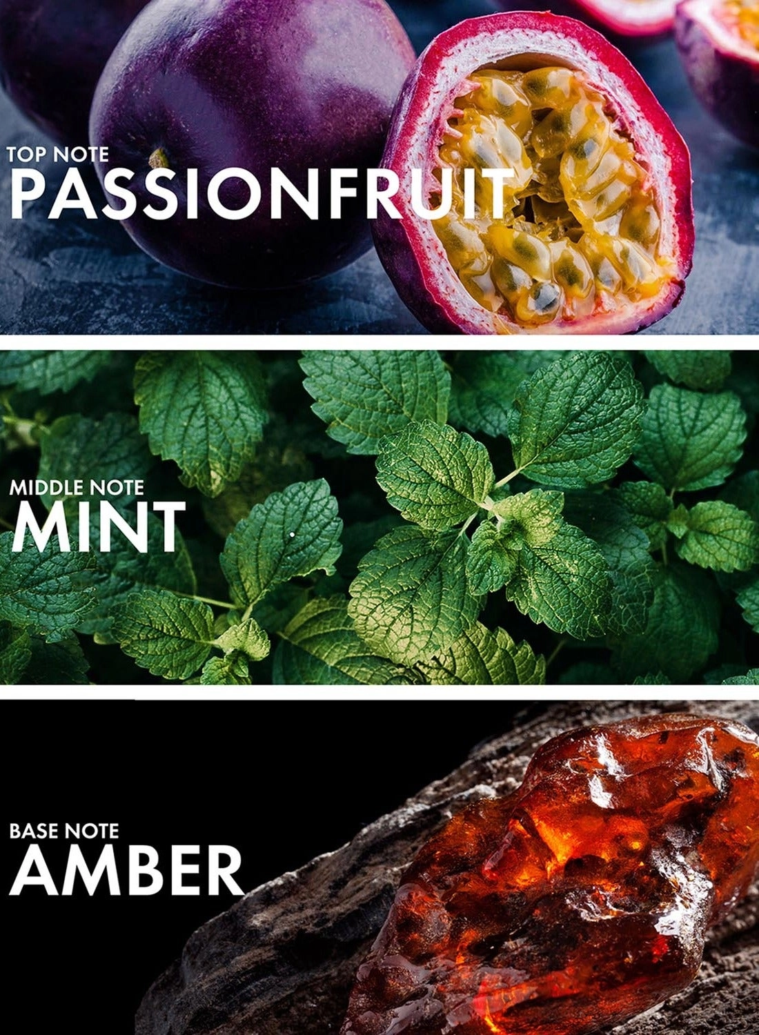 Aromatic Passionfruit - Eau de Parfum 50 ml