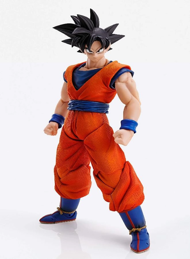 Son Goku - Dragon Ball Z - 1/9 scale Black (TWM1)