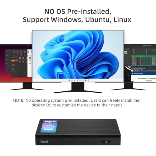 Quieter4C - M.2 NVMe/SATA Micro SD 512GB 16GB N100