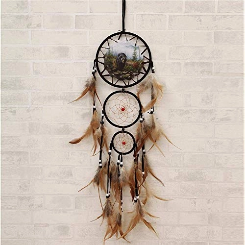 Dreamcatcher - Siderosphere, feathers, lines, wood beads.