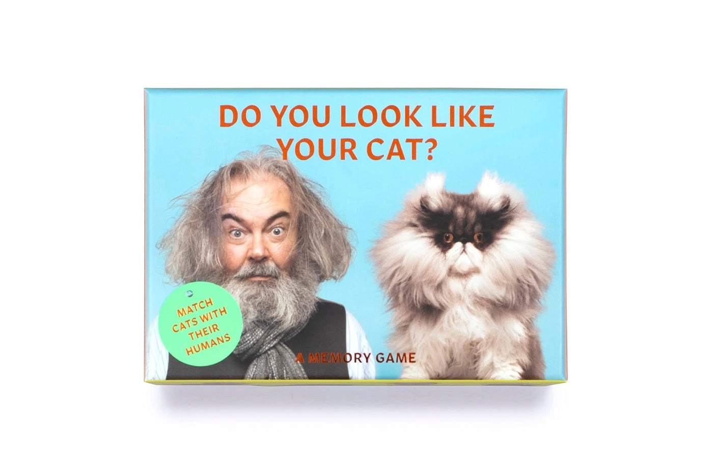 Do You Look Like Your Cat?: A Matching Memory Game
