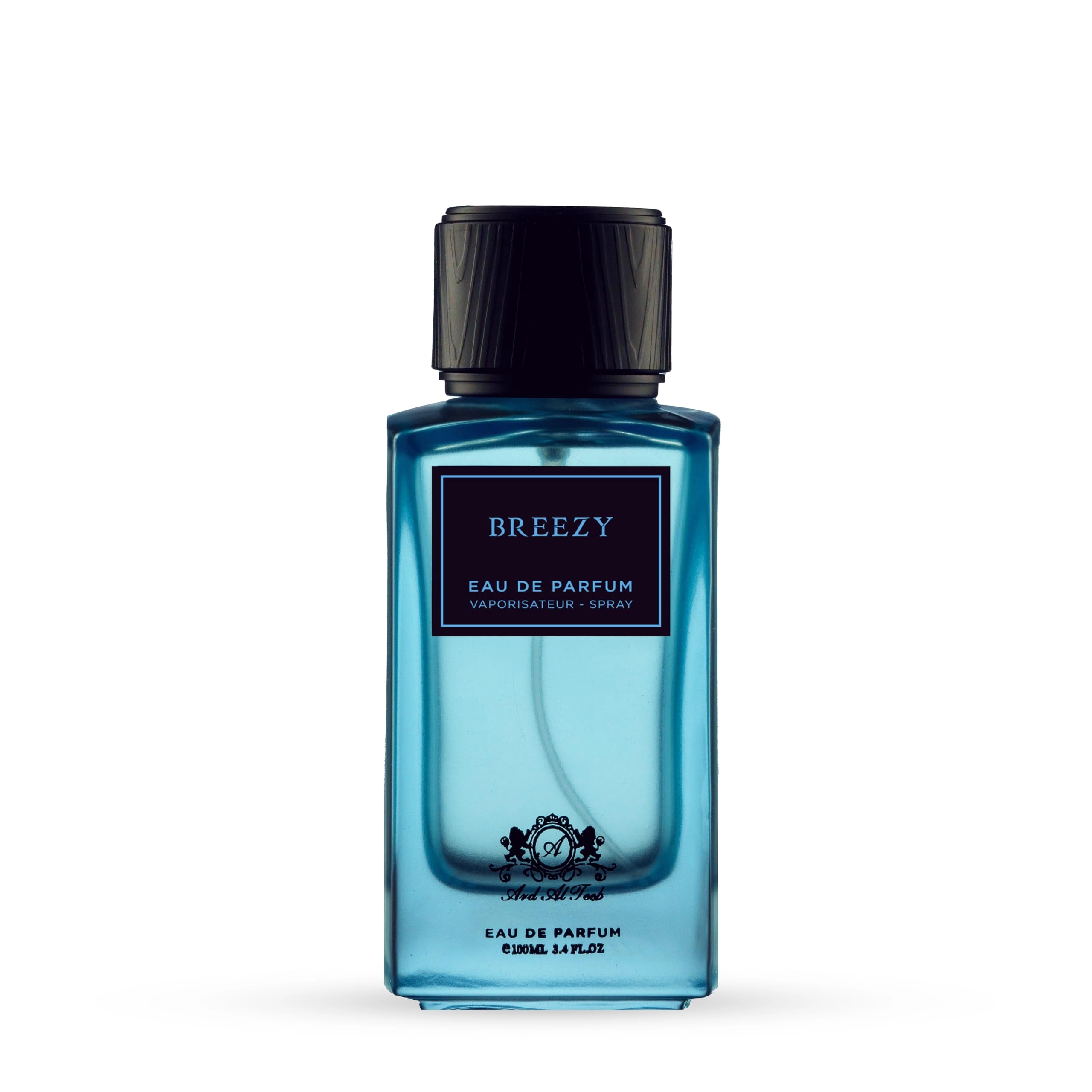 Breezy For Man Eau de Parfum 100 ml