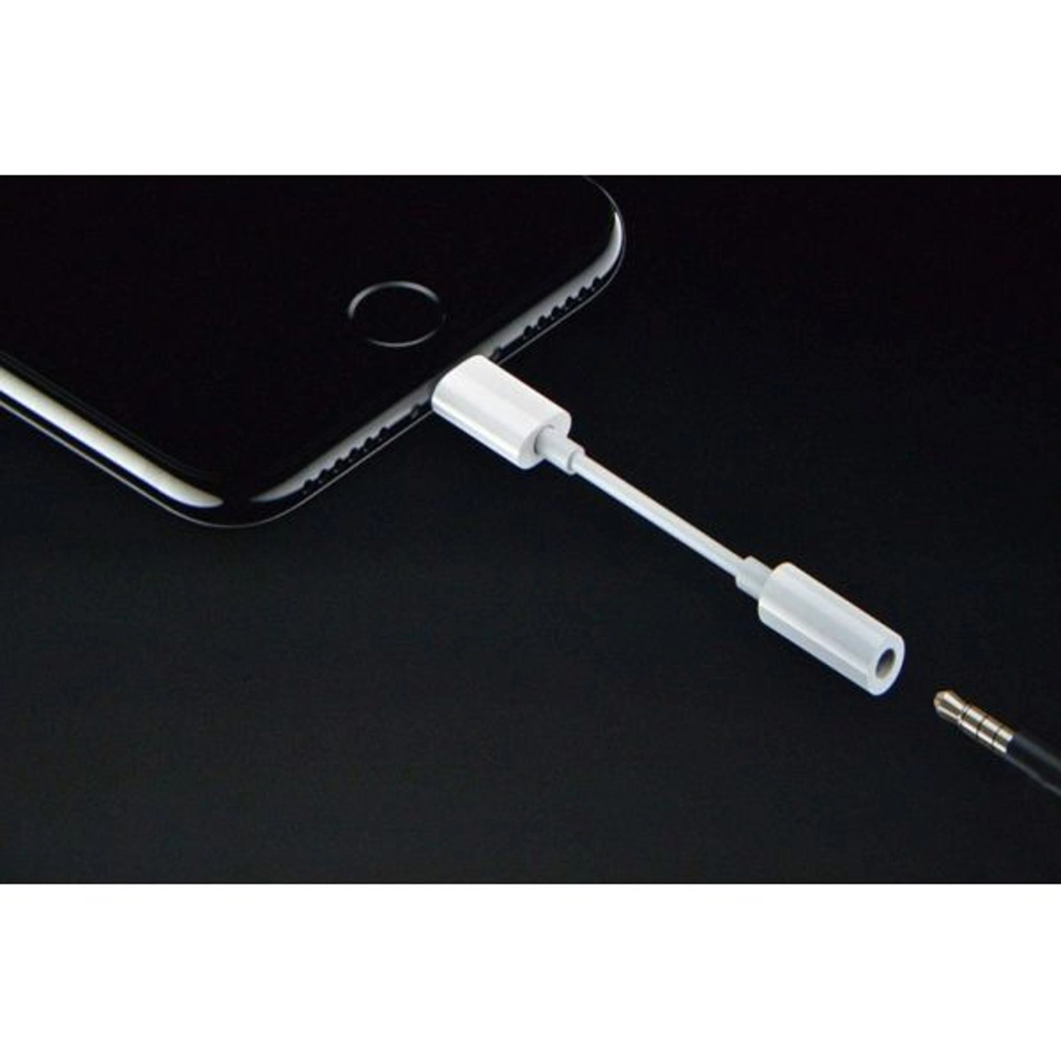 Lightning To AUX Adapter