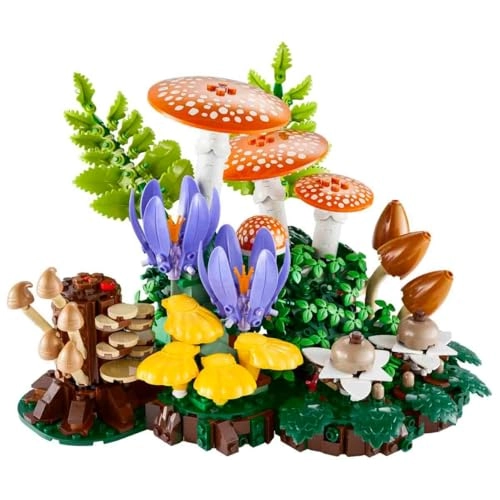 Woodland Mushrooms (11505) - Botanicals