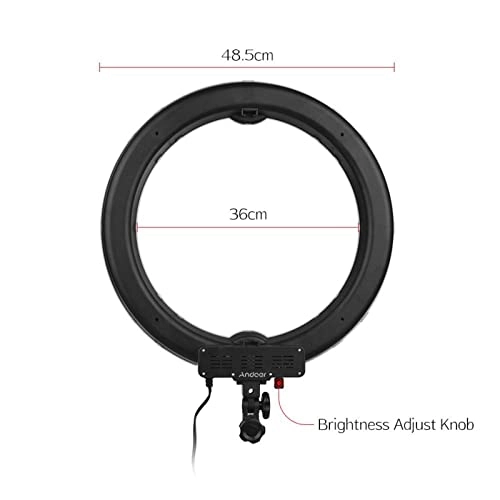 Ring Light - 19 Inch