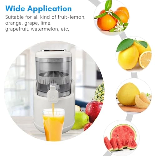 Electric Juicer - 45W 500ML