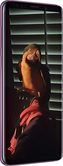 The camera that's brilliant in the dark.