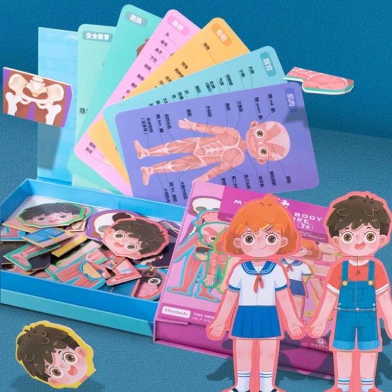 Treehole Body Structure Puzzle - 3 +