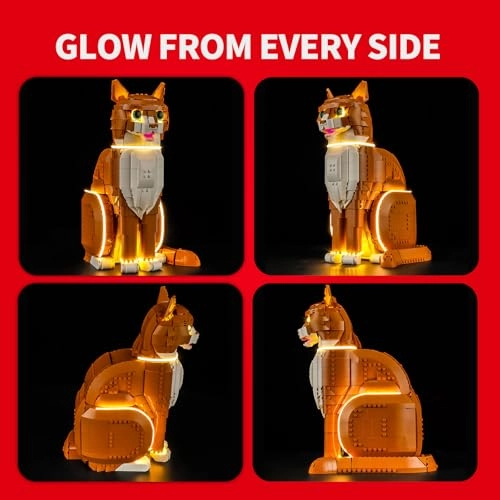 Orange Cat (21376)