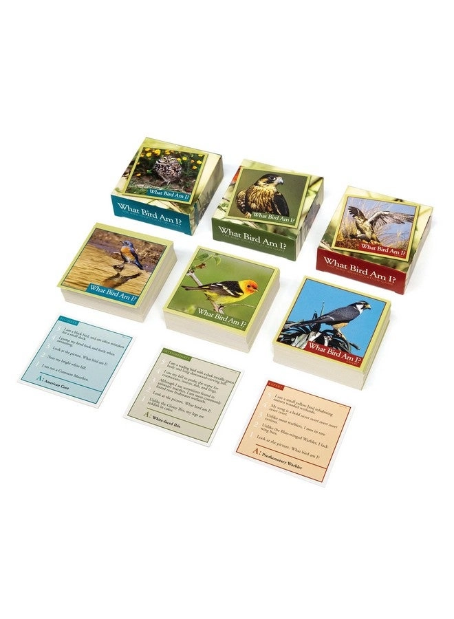 What Bird Am I?: The Bird Identification Game