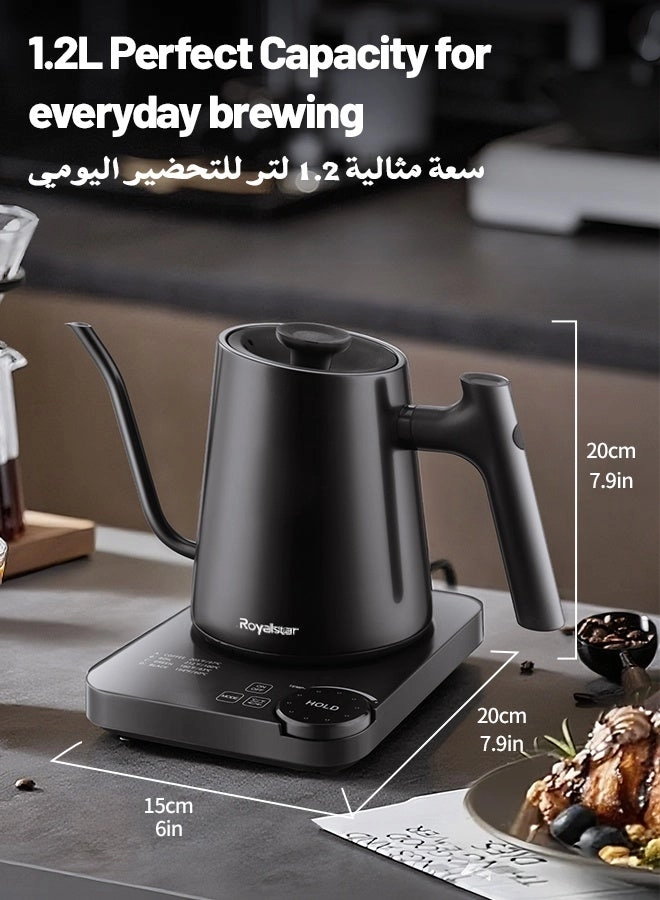 Temperature Control Gooseneck Electric Kettle