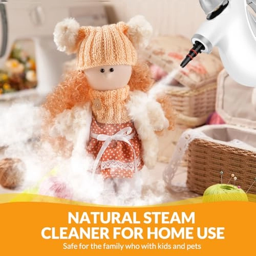 Steam Cleaner - 350 Milliliters