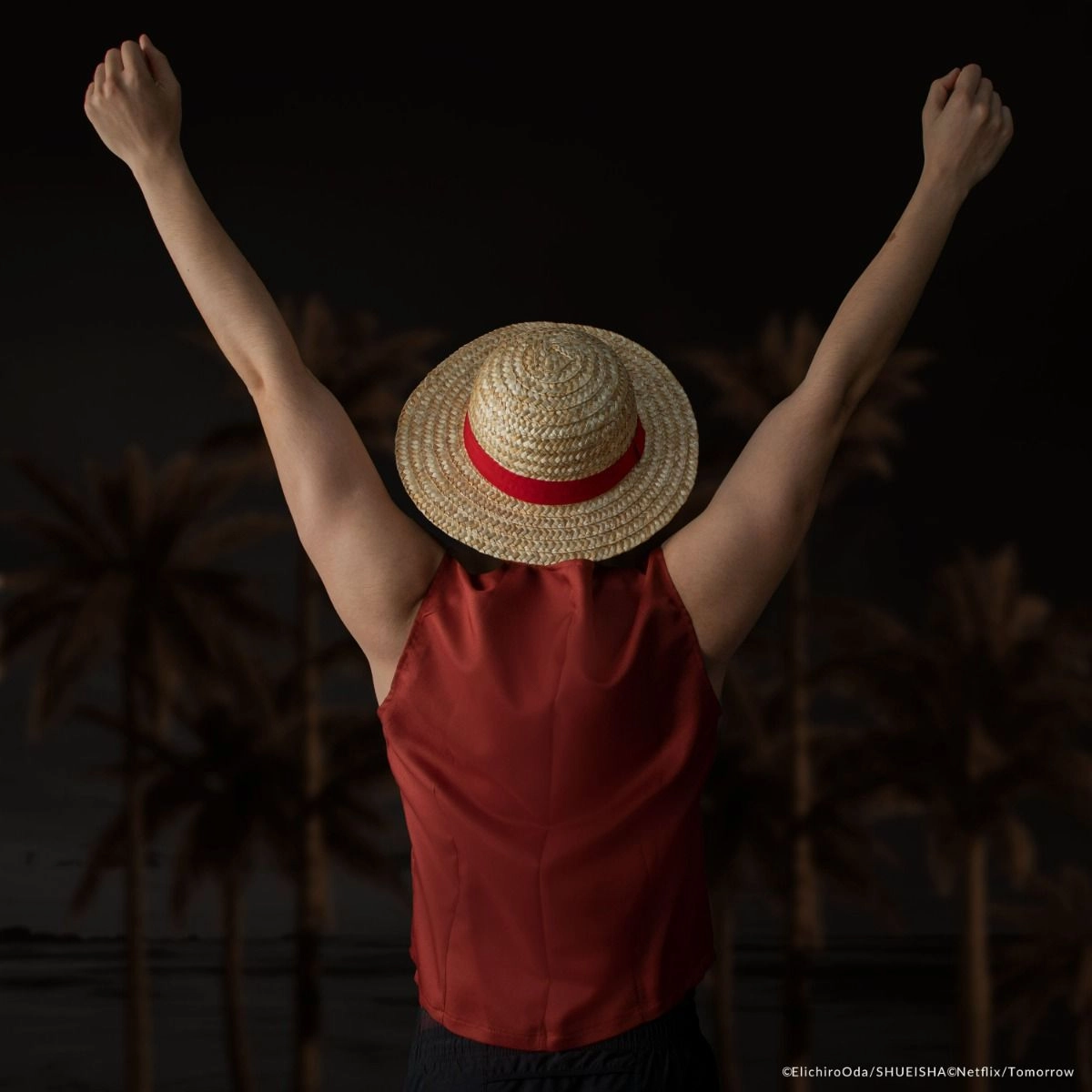 Luffy Straw Hat - Outer Diameter: 35.3 cm Height: 12 cm