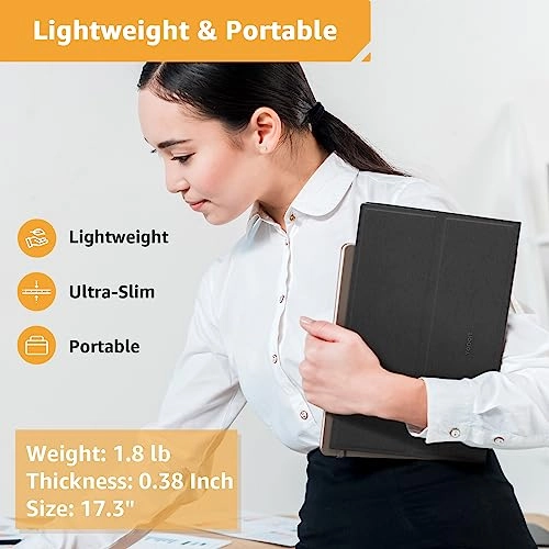 Portable Monitor - 1920 × 1080 17.3 Inch