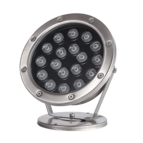 Underwater Spotlight