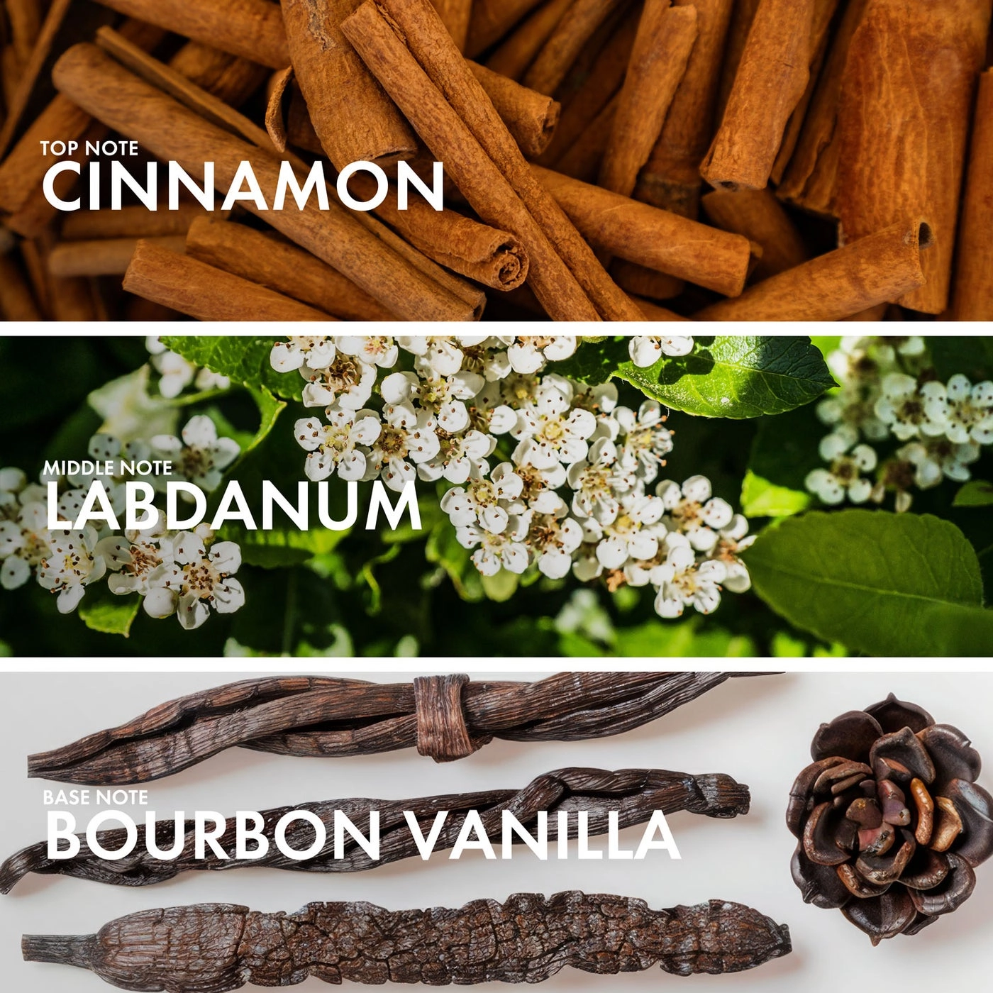 CINNAMON MUSK Eau de Parfum 50 ml