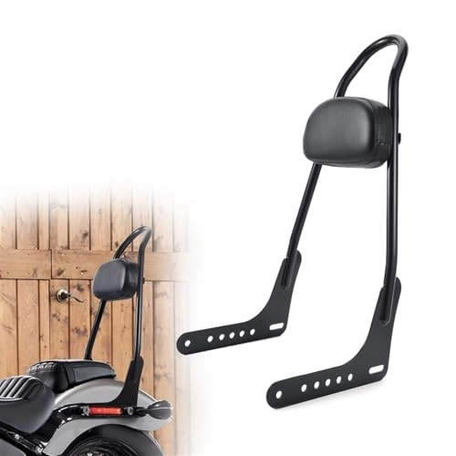 Multi-Purpose Driver Passenger Backrest Sissy Bar - Harley Slim/Deluxe/Heritage 2018-2022 2019 2020 2021