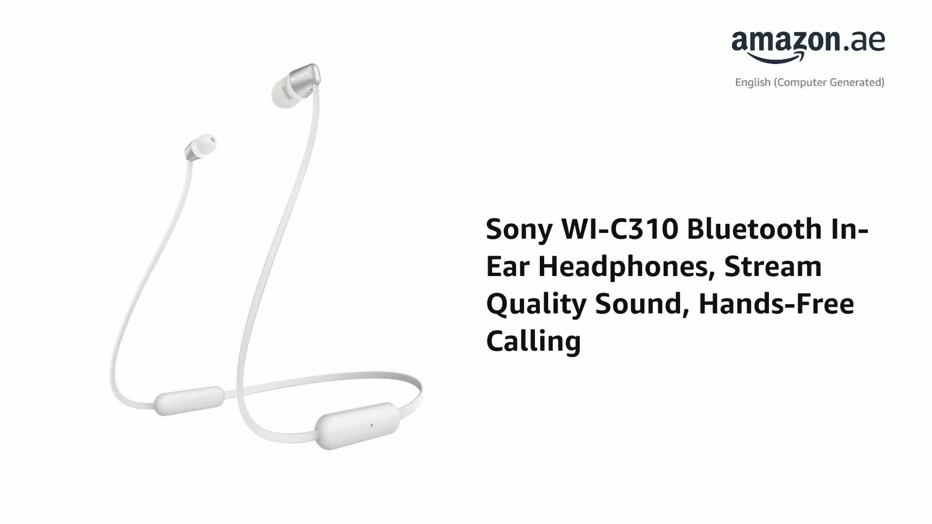WI-C310 Wireless Headphone