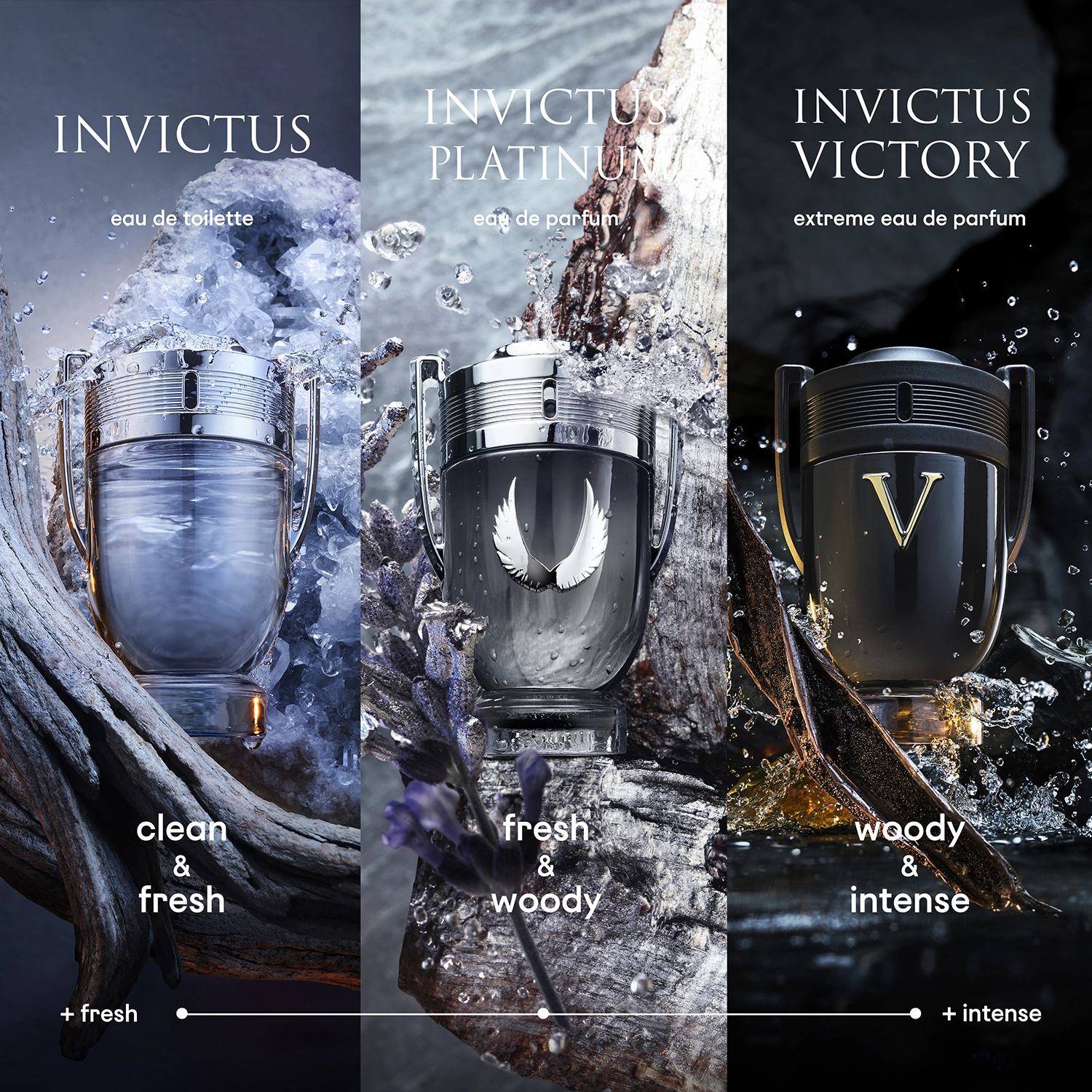 Invictus Eau de Toilette 100 ml