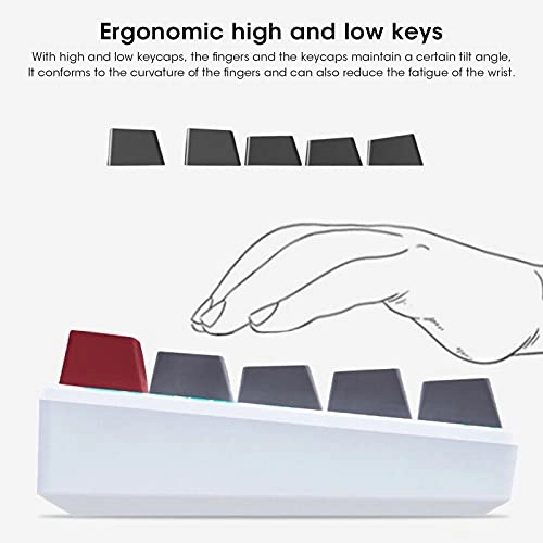 Gaming Mechanical Keyboard