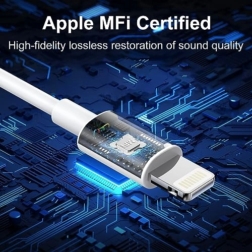 WB-1 Wired Earbud