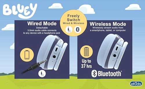 WW-B52 Wireless Headphone