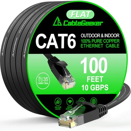 Cat 6 Ethernet Cable - 100 ft