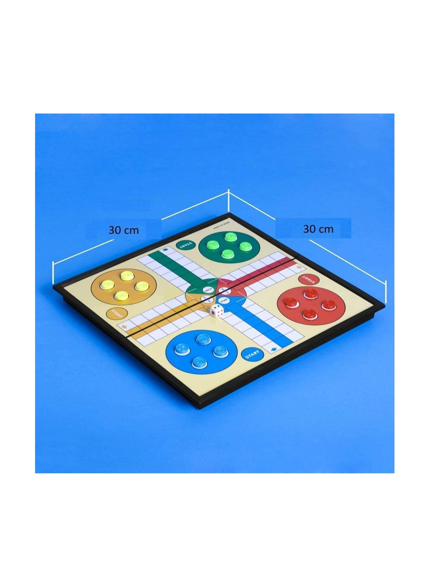 Magnetic Ludo