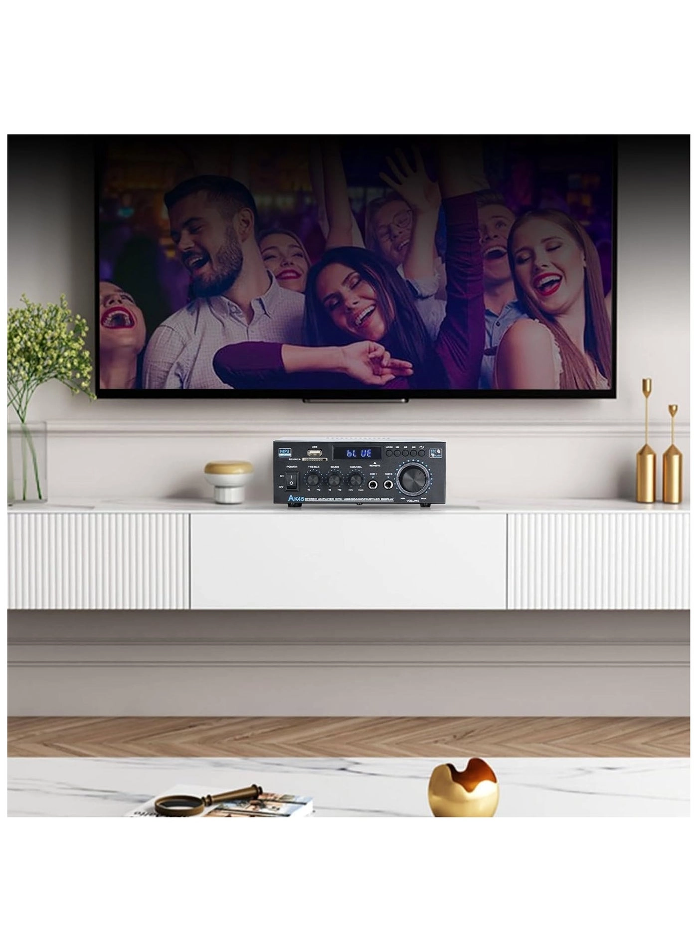 AK45 Pro - 2 channels 30 Watt