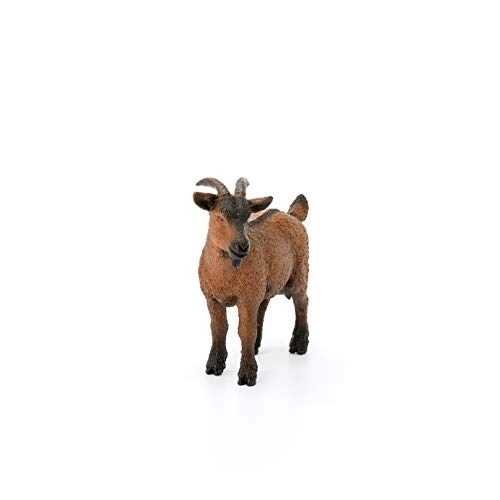 Sc13828 Goat