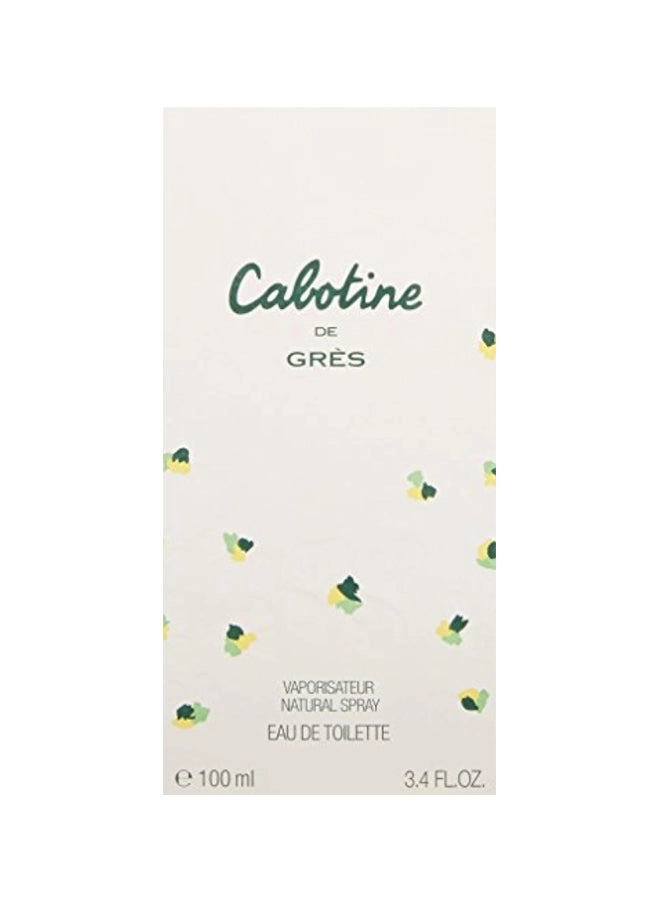 Perfume For Women Eau de Toilette 100ml