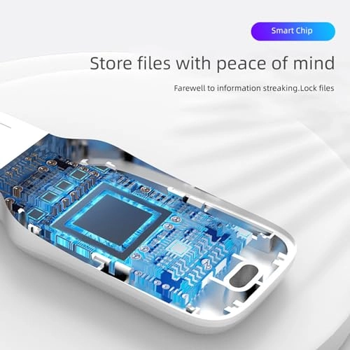 Fingerprint USB flash drive - USB 2.0 256 GB