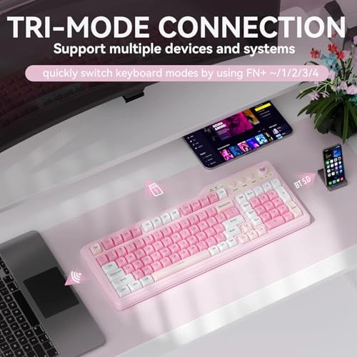 F3099 - Wired/Wireless