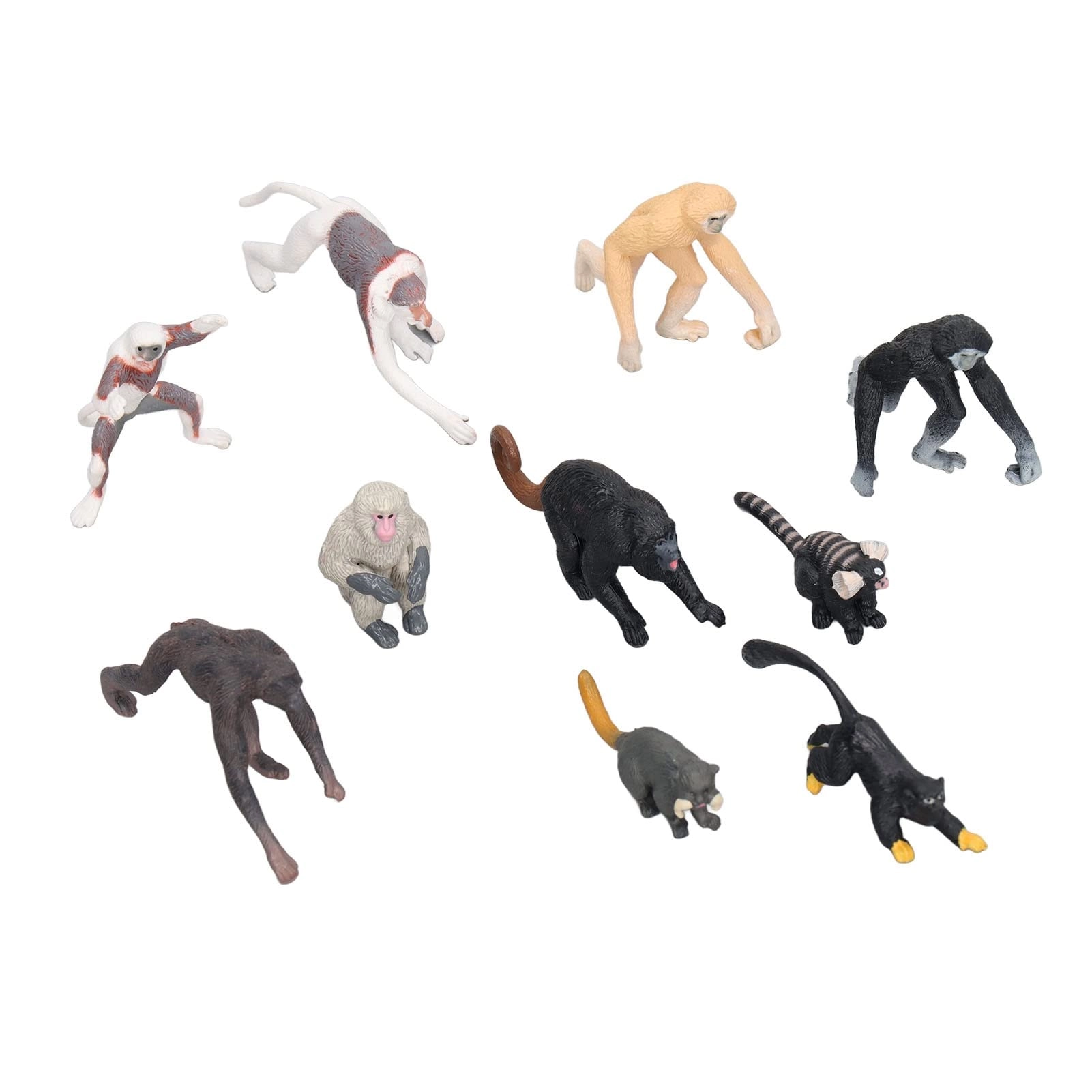 ZAICOLER Primate Animal Model Set - 10 pieces