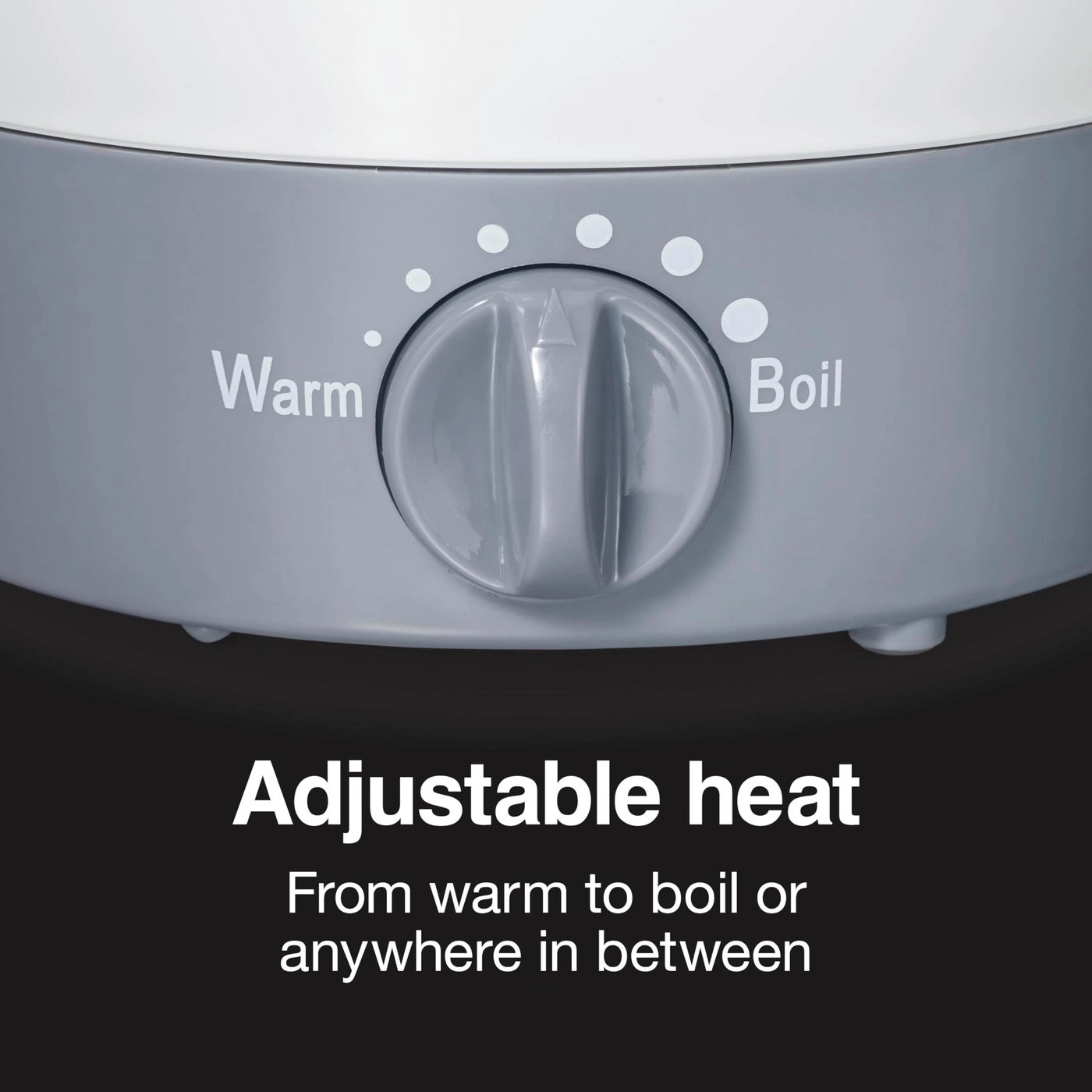 Adjustable Temperature Electric Kettle